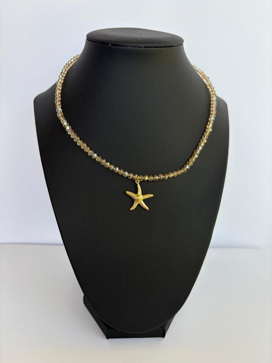 Estrella de Mar