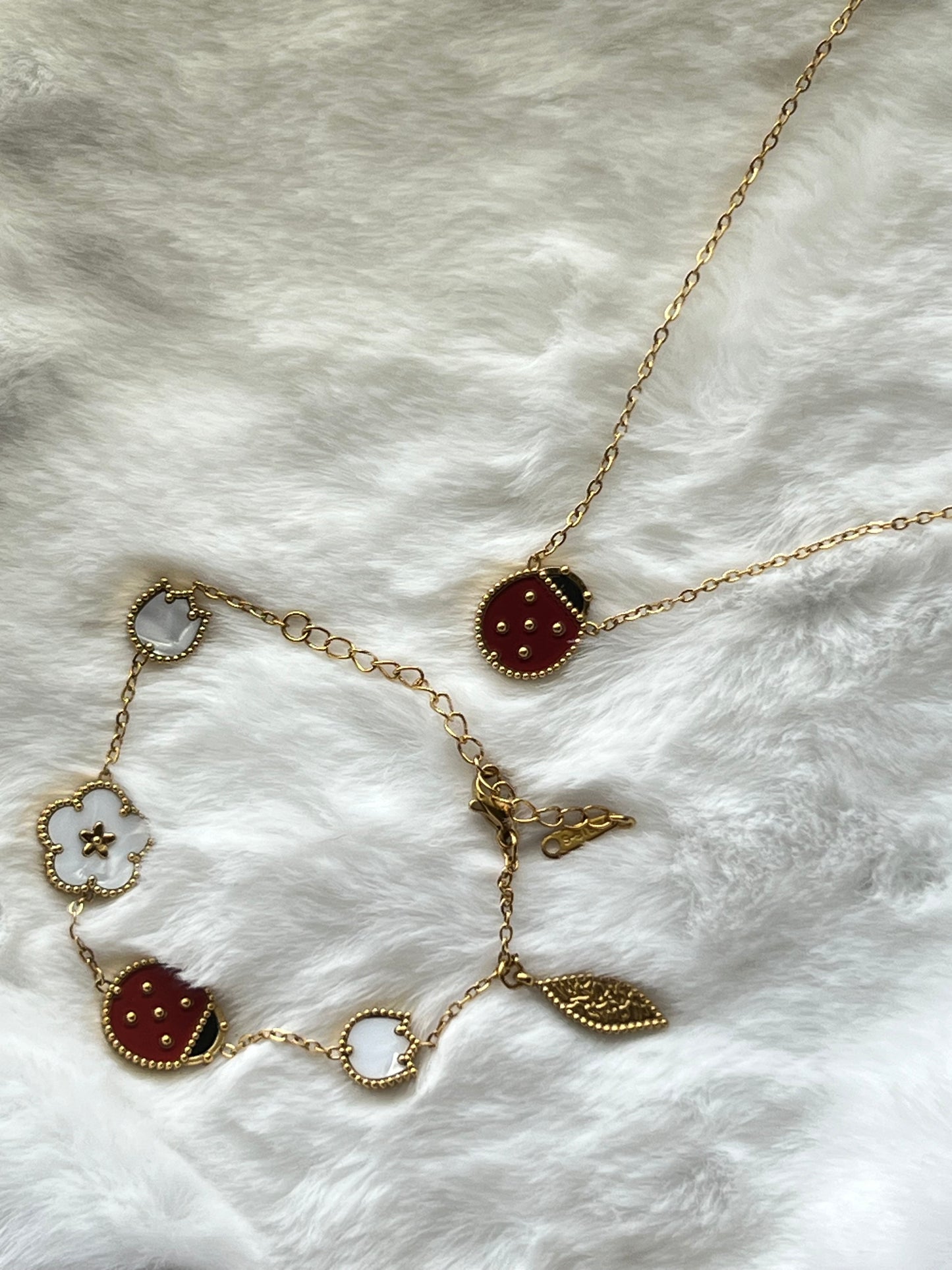 Ladybug Set
