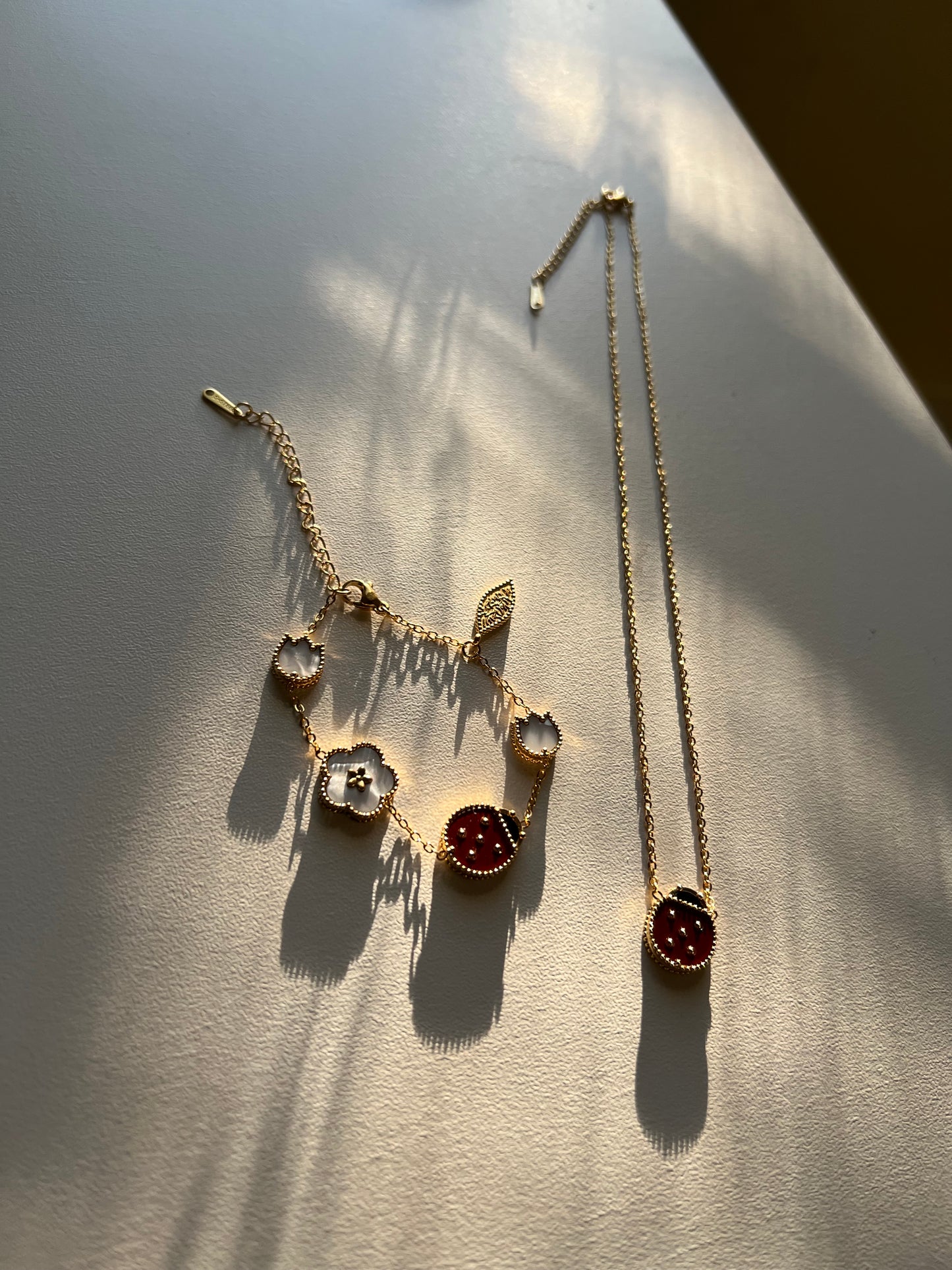Ladybug Set